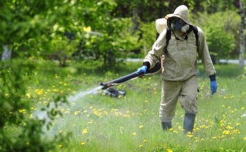 В кременчугских скверах и парках с клещами будут бороться по графику