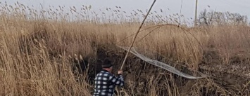 В селе Межирич орудуют браконьеры