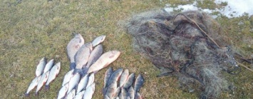 На Сумщине в первый же день запрета на лов рыбы оштрафовали рыбака