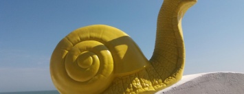 Одесский пляж удивит туристов гигантскими брюхоногими (ФОТО)