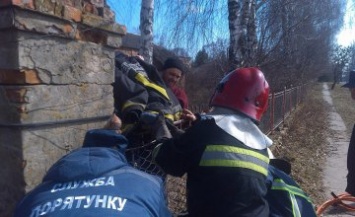 В Ровенской области школьник, перепрыгивая через забор, накололся ногой на арматуру