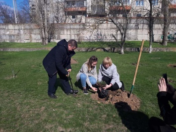 Более 100 тысяч саженцев сосны только в этом году - херсонское сообщество "Твой лес" озеленяет область