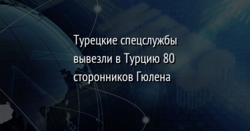 Турецкие спецслужбы вывезли в Турцию 80 сторонников Гюлена