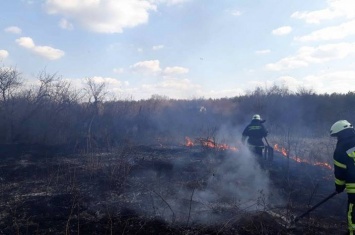 На Луганщине произошло 4 пожара в природных экосистемах