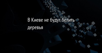 В Киеве не будут белить деревья