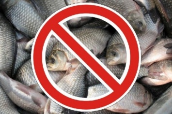 В Николаевской области объявлен нерестовый запрет на ловлю рыбы