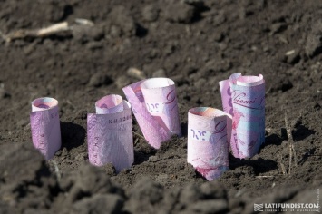 Одесские фермеры жалуются на произвол налоговиков: блокирование накладных угрожает посевной кампании