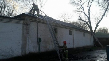 В киевском зоопарке произошел пожар