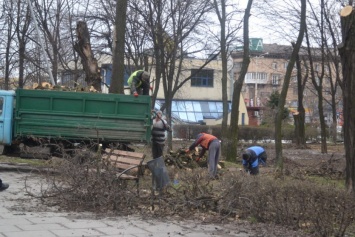 В центре Запорожья вырубят все деревья сквера - есть проект решения