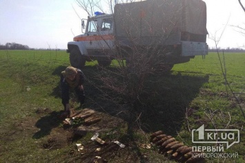 Под Кривым Рогом мужчина обнаружил почти полсотни боеприпасов