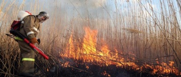 На Черниговщине мужчина тушил пожар в поле и умер
