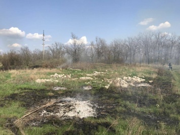 На Николаевщине горели трава, камыш и мусор