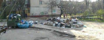 В Херсоне двор утопает в мусоре (фото)