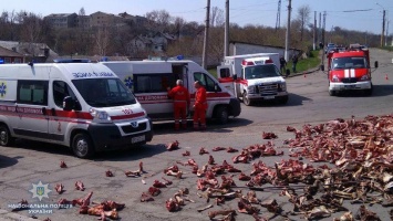 В Луганской области груженая костями фура столкнулась с маршруткой, 10 пострадавших. Фото