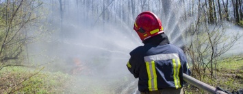 На окраине Киева "горел" лес: как спасатели боролись с огнем