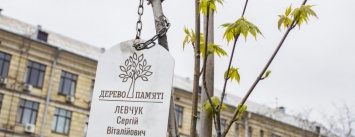 В центре Киева высадили именные деревья в честь украинских бойцов