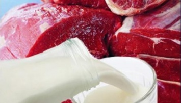 В Черниговской области уменьшился выпуск говядины и свинины, но возросло производство молочных продуктов