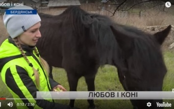 До слез: Запорожанка спасла лошадь от гибели (ВИДЕО)