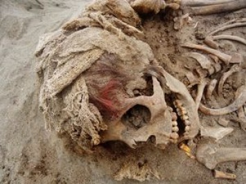 В Перу нашли огромный могильник детей и лам, принесенных в жертву древним богам