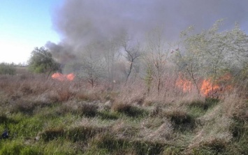На Херсонщине продолжаются случаи возгорания сухой травы и мусора