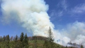 В Карпатах на горе Захар Беркут произошел пожар