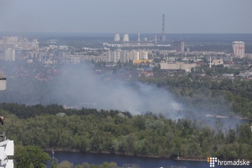 В Киеве на Трухановом острове на пяти гектарах горит трава. Фото