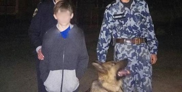 10-летний черниговский мальчик после ссоры с мамой ушел из дома. Его искали с собаками