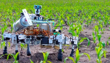 Человек не нужен: какие роботы заменят человека в сельском хозяйстве