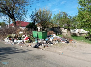 В одном из николаевских дворов разрастается стихийная свалка