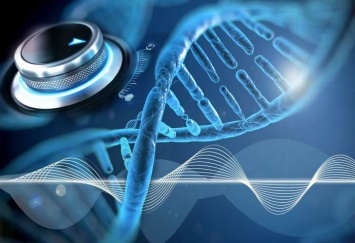 Найден новый способ регуляции генетических осцилляторов