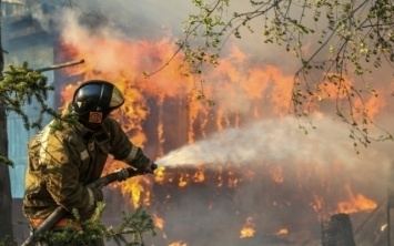 Лесные пожары на Днепропетровщине: спасатели локализуют возгорания