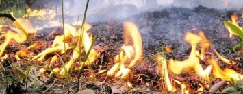 Жителей Луганской области предупредили о повышенной пожароопасности