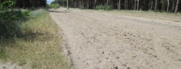 В Николаеве, чтобы уберечь "Балабановское" от пожаров, администрация создала 80 км минерализованных полос, - ФОТО