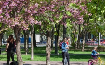 Май в Днепре: где можно отдохнуть прямо в городе?