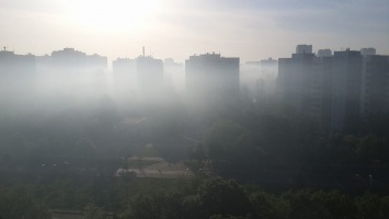 В Киеве горит Виноградарь, смог и едкий дым накрыл весь район. Фото