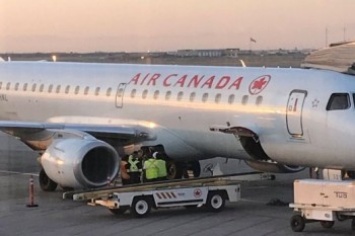 В Канаде самолет задержали на 7 часов из-за енота в вентиляционной системе