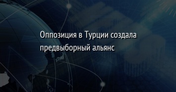 Оппозиция в Турции создала предвыборный альянс