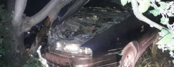 В Мариуполе пьяный водитель влетел в дерево и разбил авто (ФОТО)