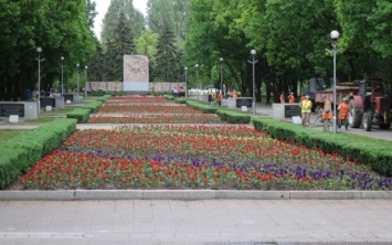 В Запорожье похитили цветы к празднику (ФОТО)