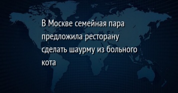 В Москве семейная пара предложила ресторану сделать шаурму из больного кота