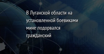 В Луганской области на установленной боевиками мине подорвался гражданский