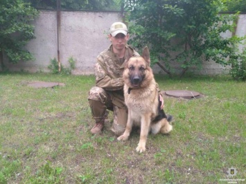 На Днепропетровщине служебный пес спас жизнь престарелой селянке