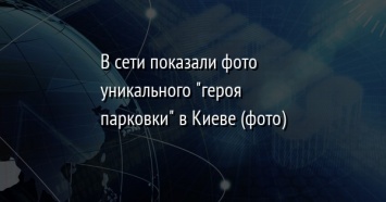 В сети показали фото уникального "героя парковки" в Киеве (фото)