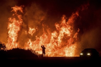 В Днепре объявлен наивысший уровень пожароопасности