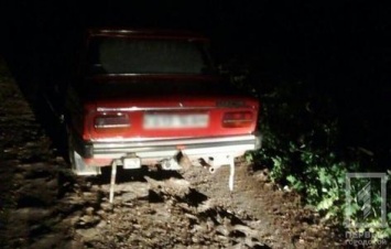 В Кривом Роге в лесополосе обнаружен автомобиль с мертвым мужчиной