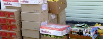 Воспитанникам донецкого детского дома общественники ДНР привезли сладости и фрукты