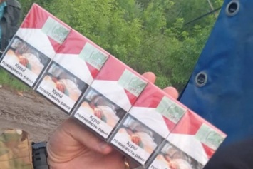 Дело на 2 млн грн: В Донецкой обл. задержали грузовик с крупной партией контрафактных сигарет