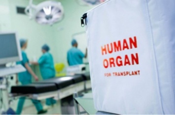 Закон о трансплантации органов: кто не сможет стать донором