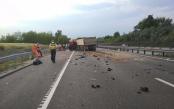 В Венгрии автобус с гражданами Румынии столкнулся с грузовиком: девять человек погибли