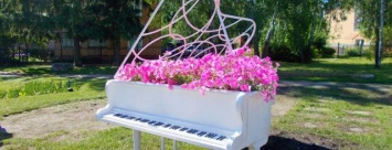 В клумбу-рояль в Чернигове уже высадили цветы